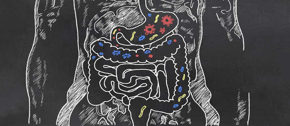probiotics linked to dental health stress reduction and more 4