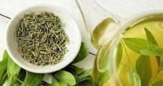 egcg from green tea may help combat negative effects of a western diet 3