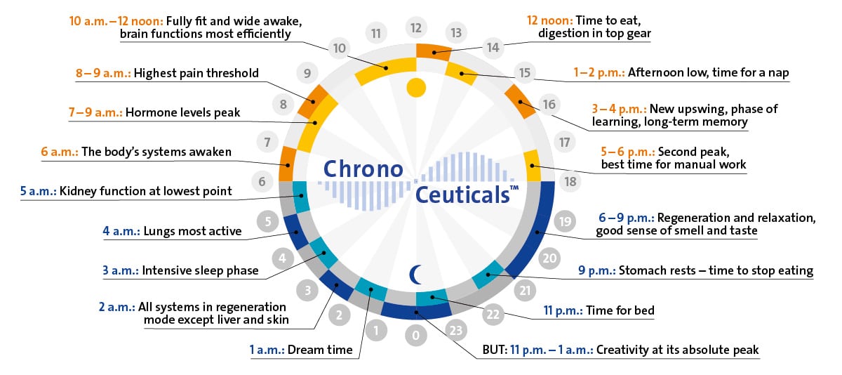 Chronobiological Clock