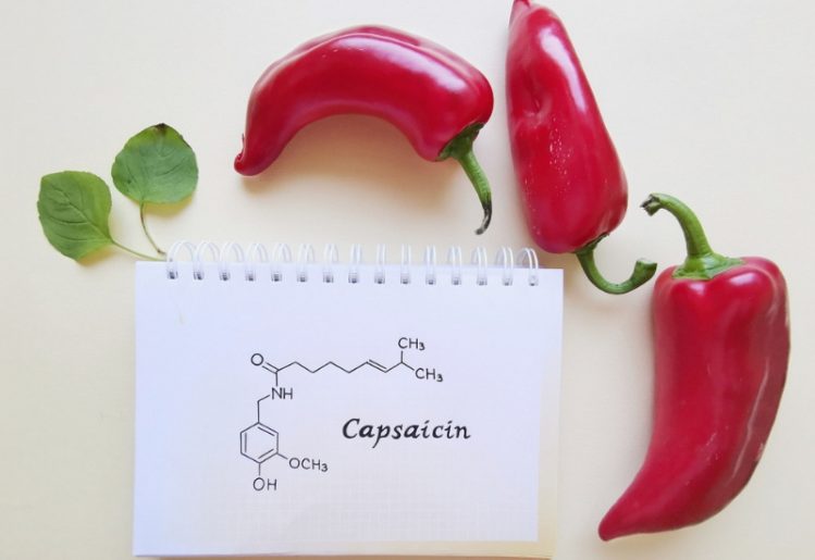 New Insights Reveal How Chili Pepper Compound Capsaicin Relieves Pain 2