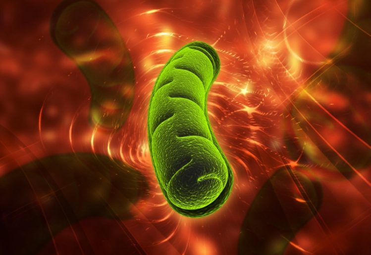 The Little-Known Link Between Mitochondria and Anxiety 1