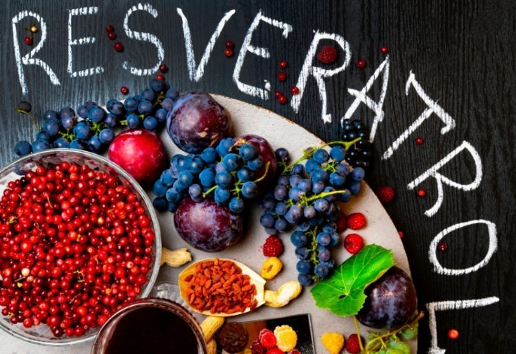 Resveratrol and Caloric Restriction: Can a Plant Compound Influence Lifespan? 1