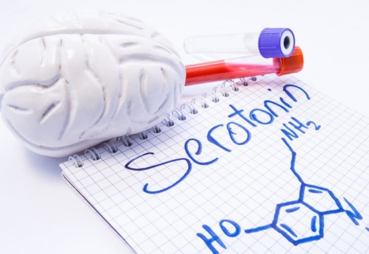 "Happy Hormone" Serotonin Regulates Impulse Control and Patience