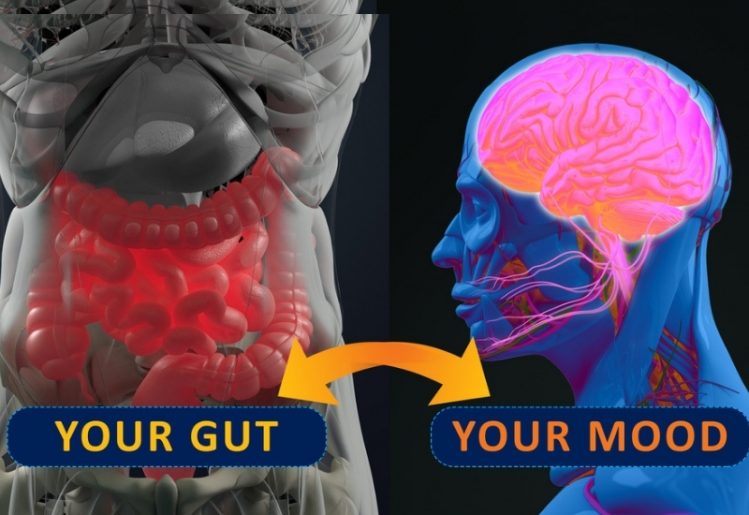 Research Update: Gut Microbes Influence Mood, Bone Strength and Cancer Risk 1