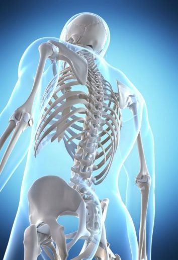 The Complete Guide to Vitamin D for Bone Health and More